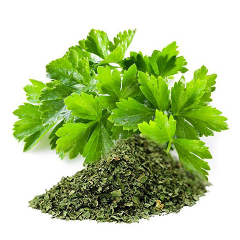 گشنیز خشک خانگی خاتون - 150 گرم
