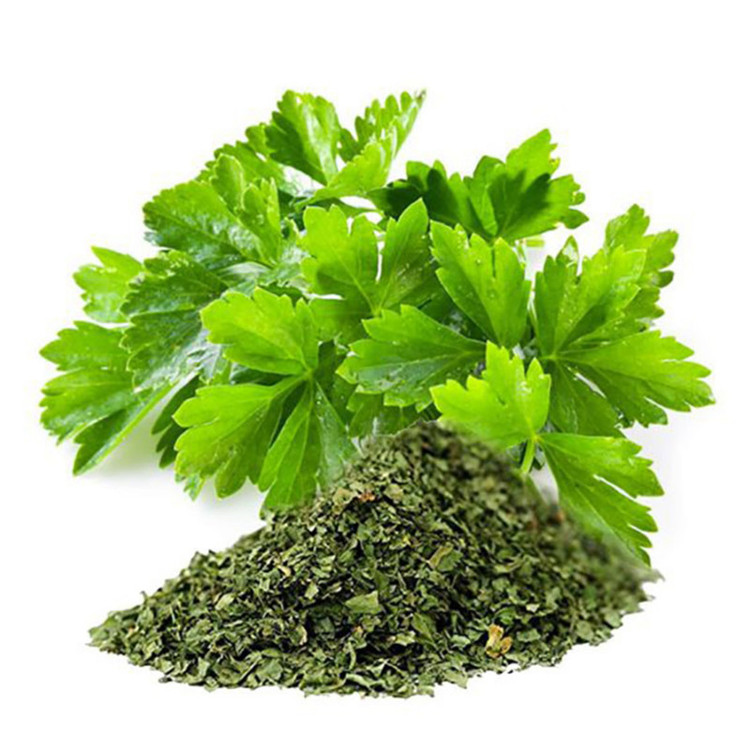 گشنیز خشک خانگی خاتون - 150 گرم