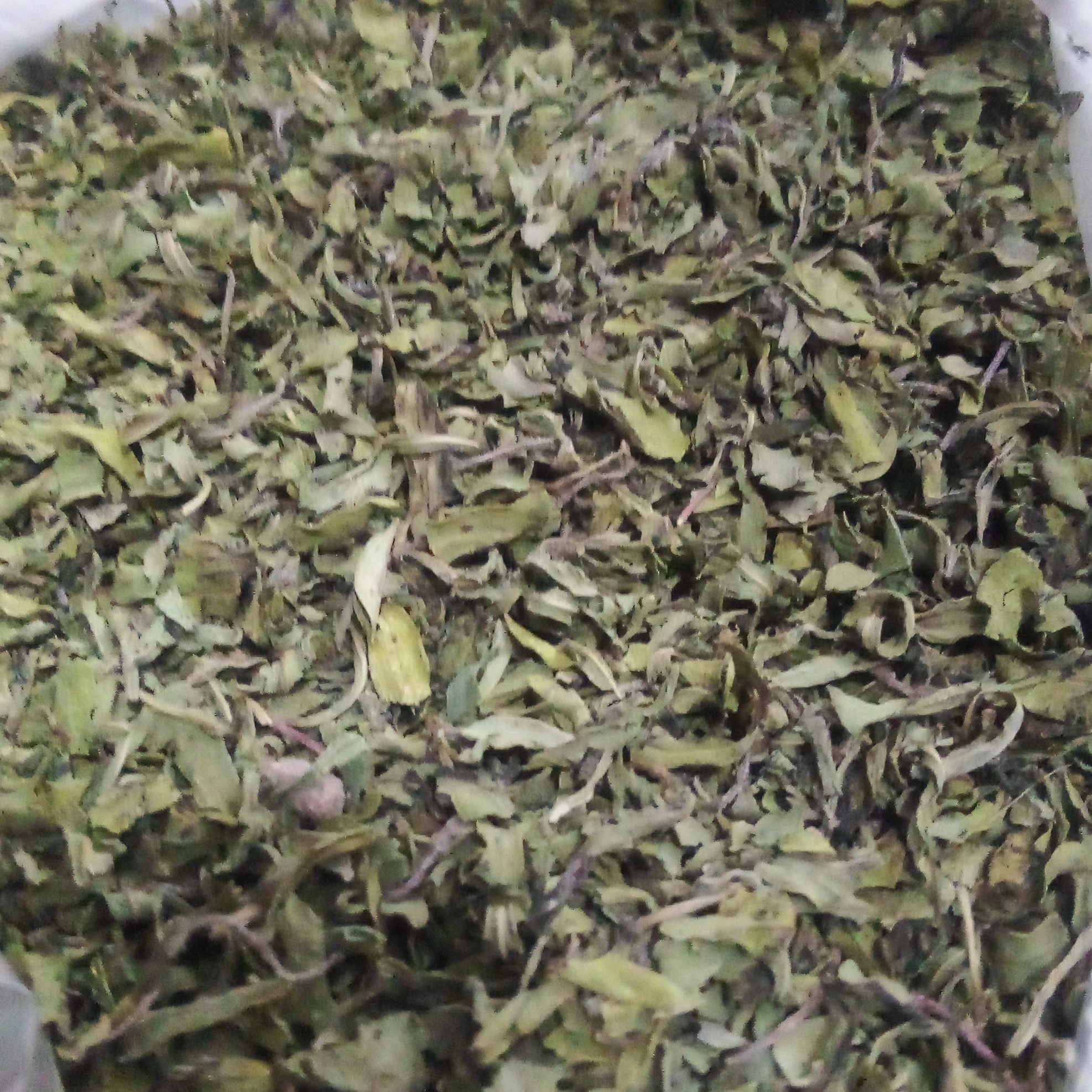 مرزه خشک شده با روش سنتی وزن 100 گرم